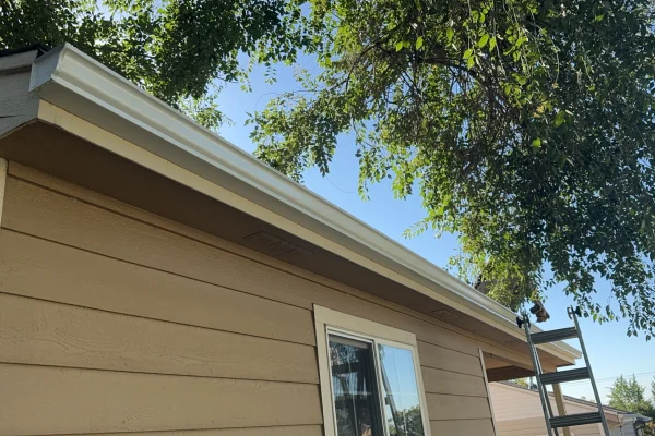 gutter replacement denver co